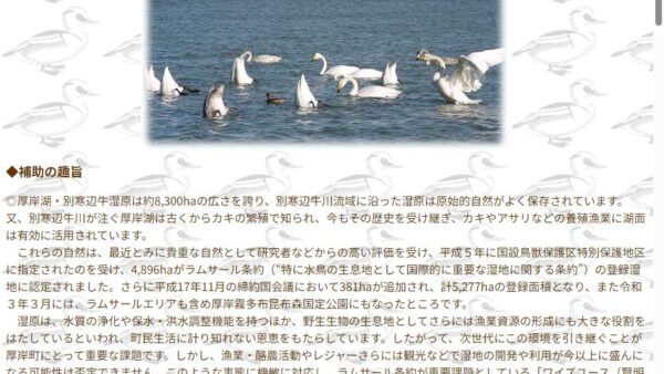 厚岸水鳥観察館 | 厚岸湖・別寒辺牛湿原学術研究奨励補助金